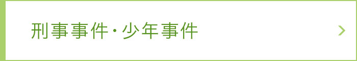 刑事事件・少年事件 刑事事件・少年事件